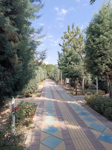 عکس بوستان خیابان ۲۰۶