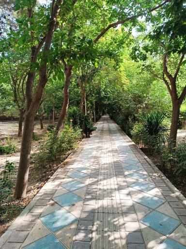عکس بوستان خیابان ۲۰۶