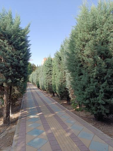 عکس بوستان خیابان ۲۰۶