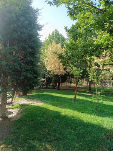 عکس بوستان خیابان ۲۰۶