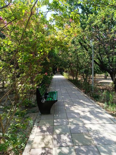 عکس بوستان خیابان ۲۰۶