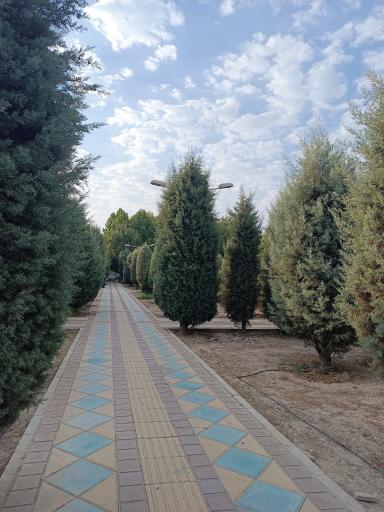 عکس بوستان خیابان ۲۰۶