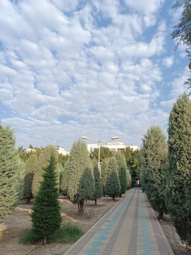عکس بوستان خیابان ۲۰۶