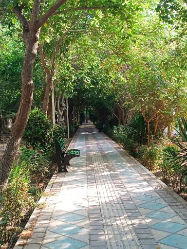 عکس بوستان خیابان ۲۰۶