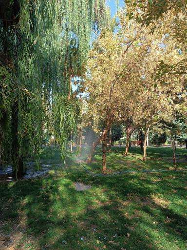 عکس بوستان خیابان ۲۰۶