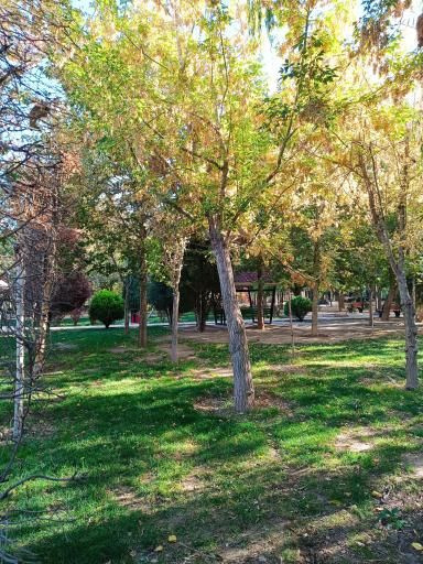 عکس بوستان خیابان ۲۰۶