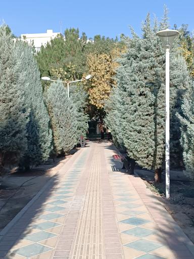 عکس بوستان خیابان ۲۰۶