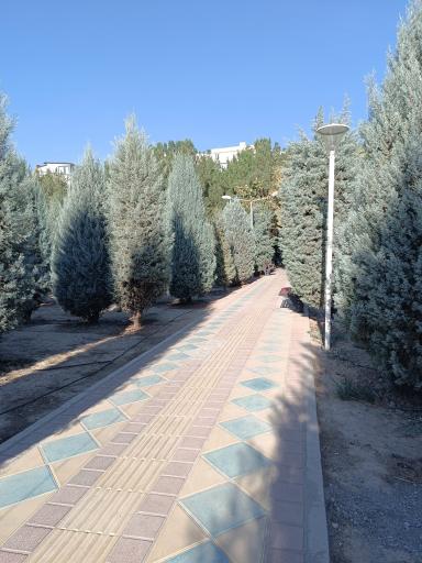 عکس بوستان خیابان ۲۰۶