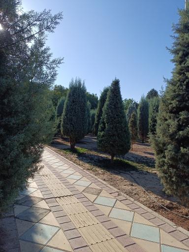 عکس بوستان خیابان ۲۰۶