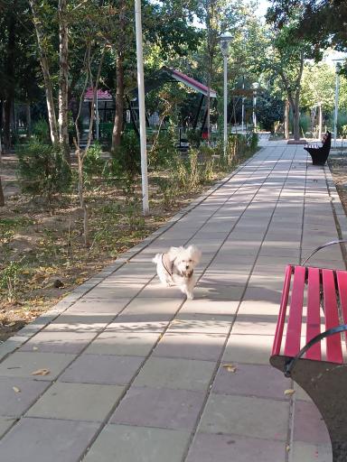 عکس بوستان خیابان ۲۰۶