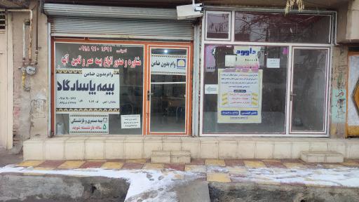 بیمه پاسارگاد امینی