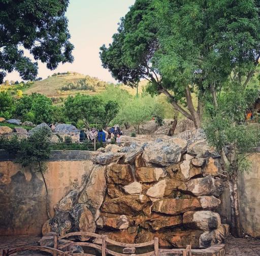 عکس پارک امیریه