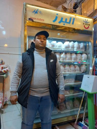 عکس مرغ و ماهی کهندل