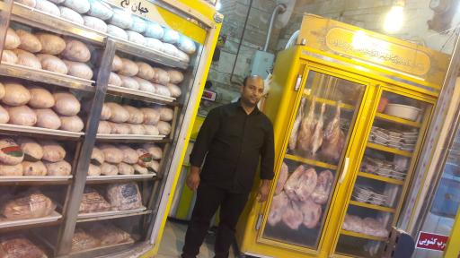 عکس مرغ و ماهی کهندل