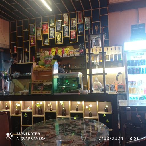 عکس قهوه عربیکا