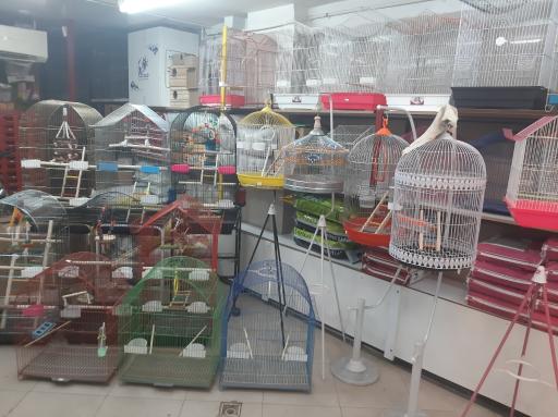 عکس پت شاپ نهال مارلیک