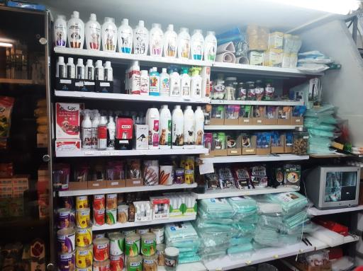 عکس پت شاپ نهال مارلیک