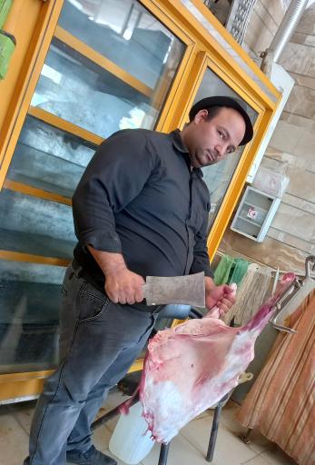 عکس مرغ و ماهی کهندل