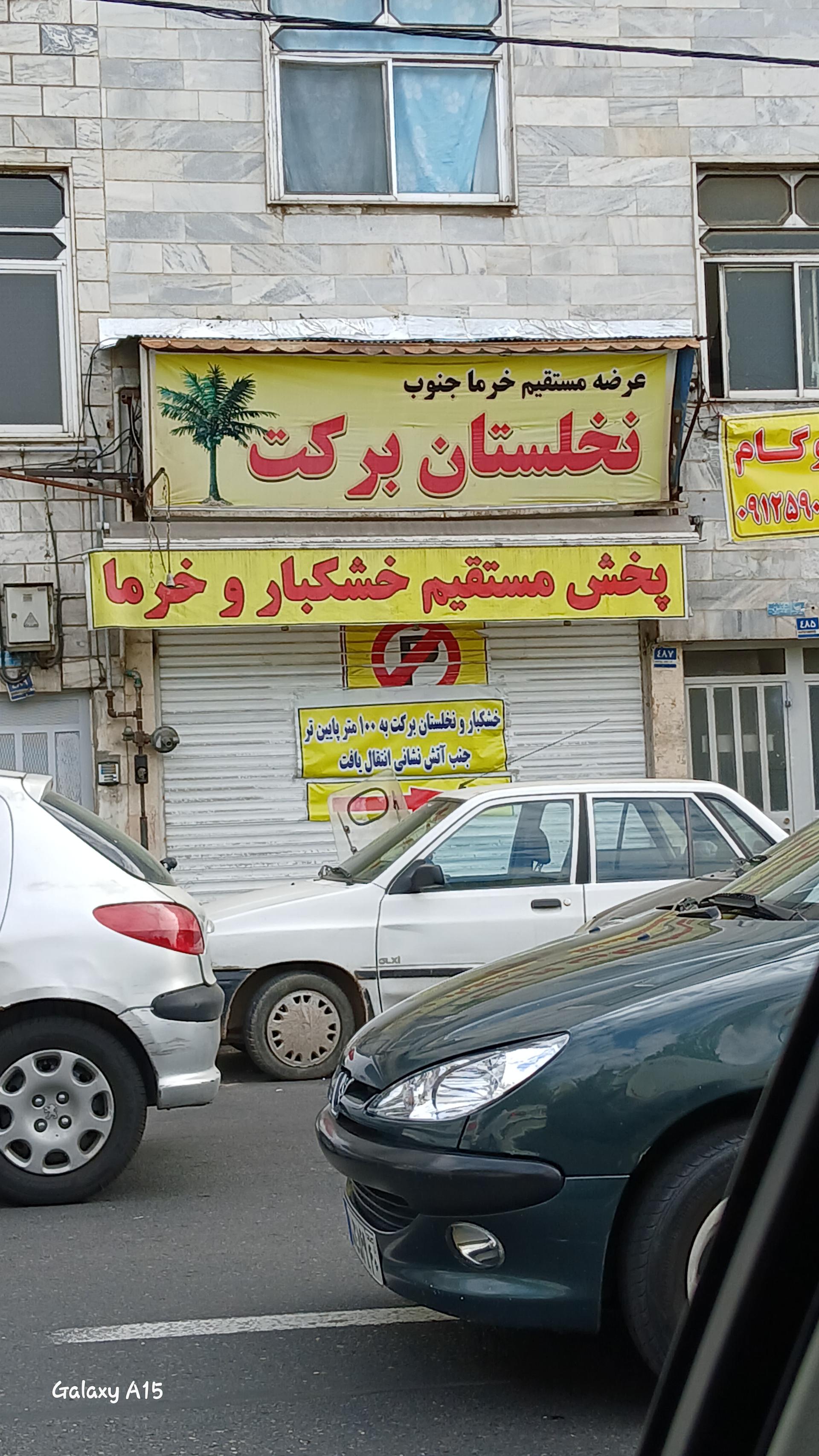 عکس نخلستان برکت