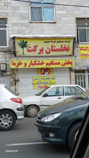 عکس نخلستان برکت