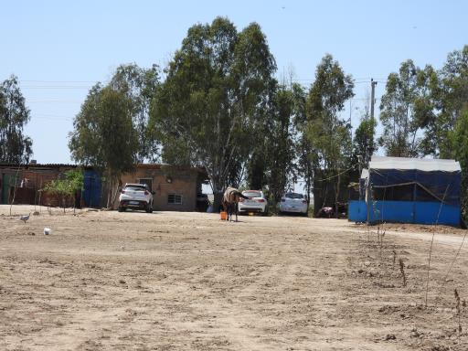 عکس میدان سوارکاری