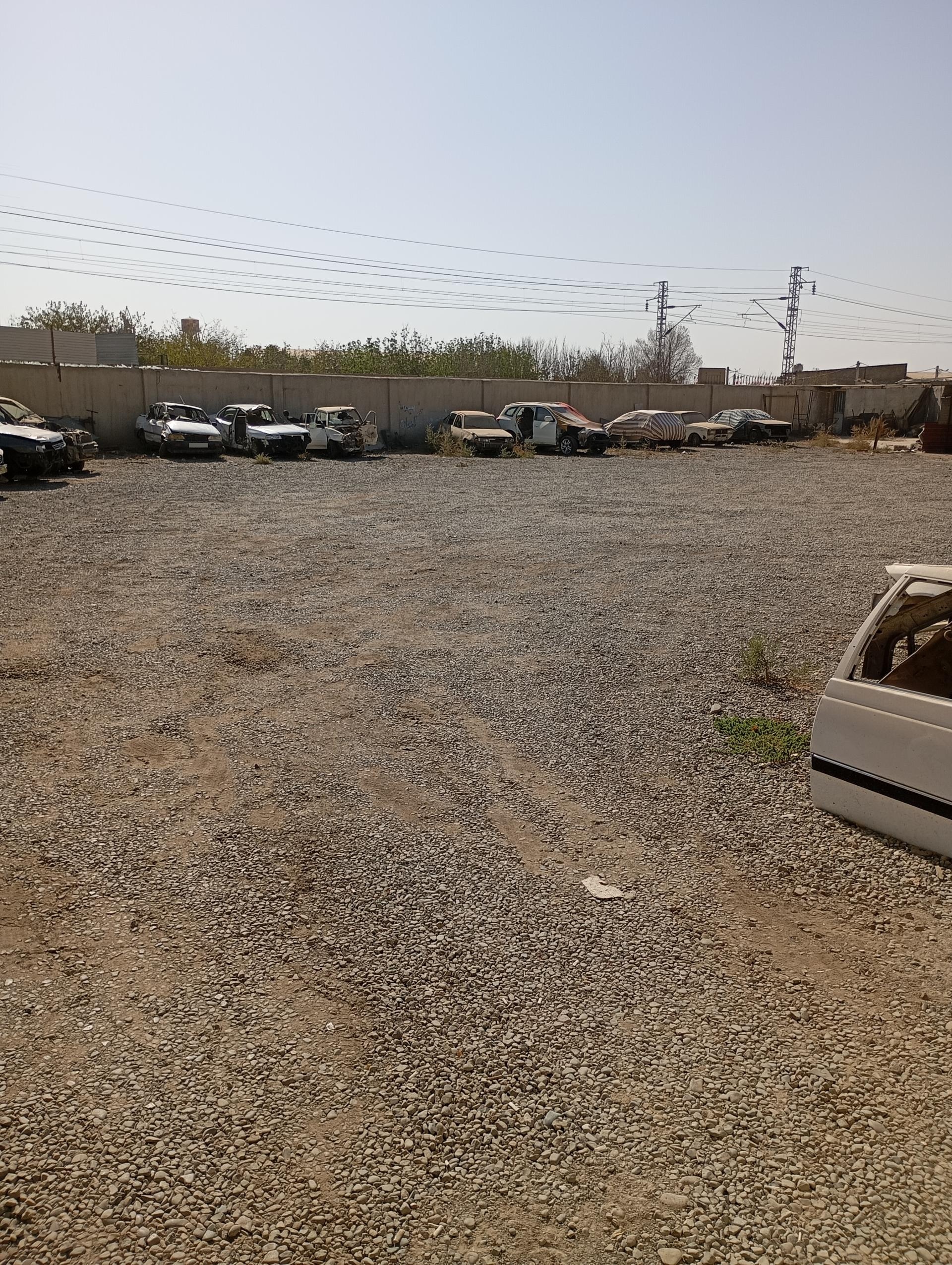 عکس تصادفی جعفری 