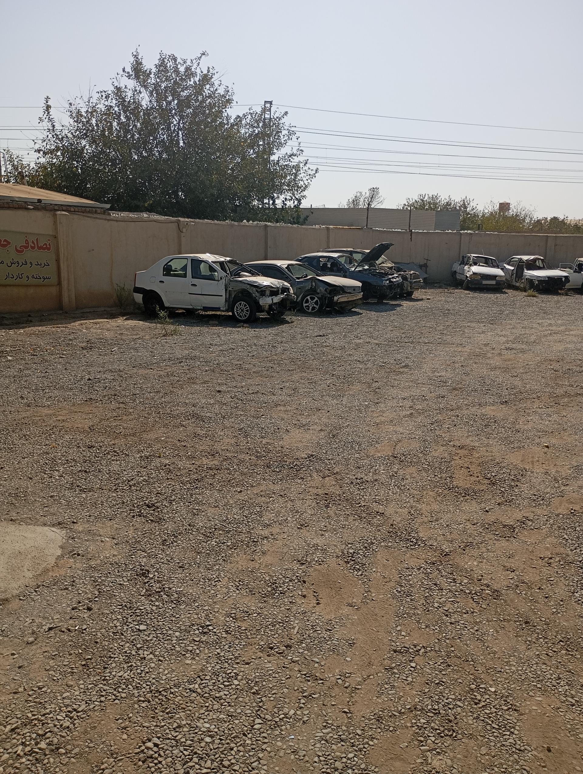 عکس تصادفی جعفری 