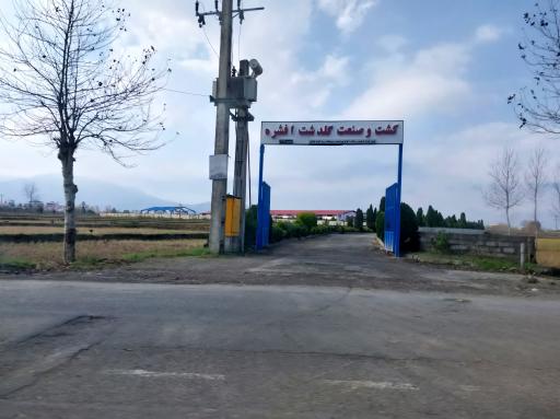 عکس شرکت کشت و صنعت گلدشت افشاره