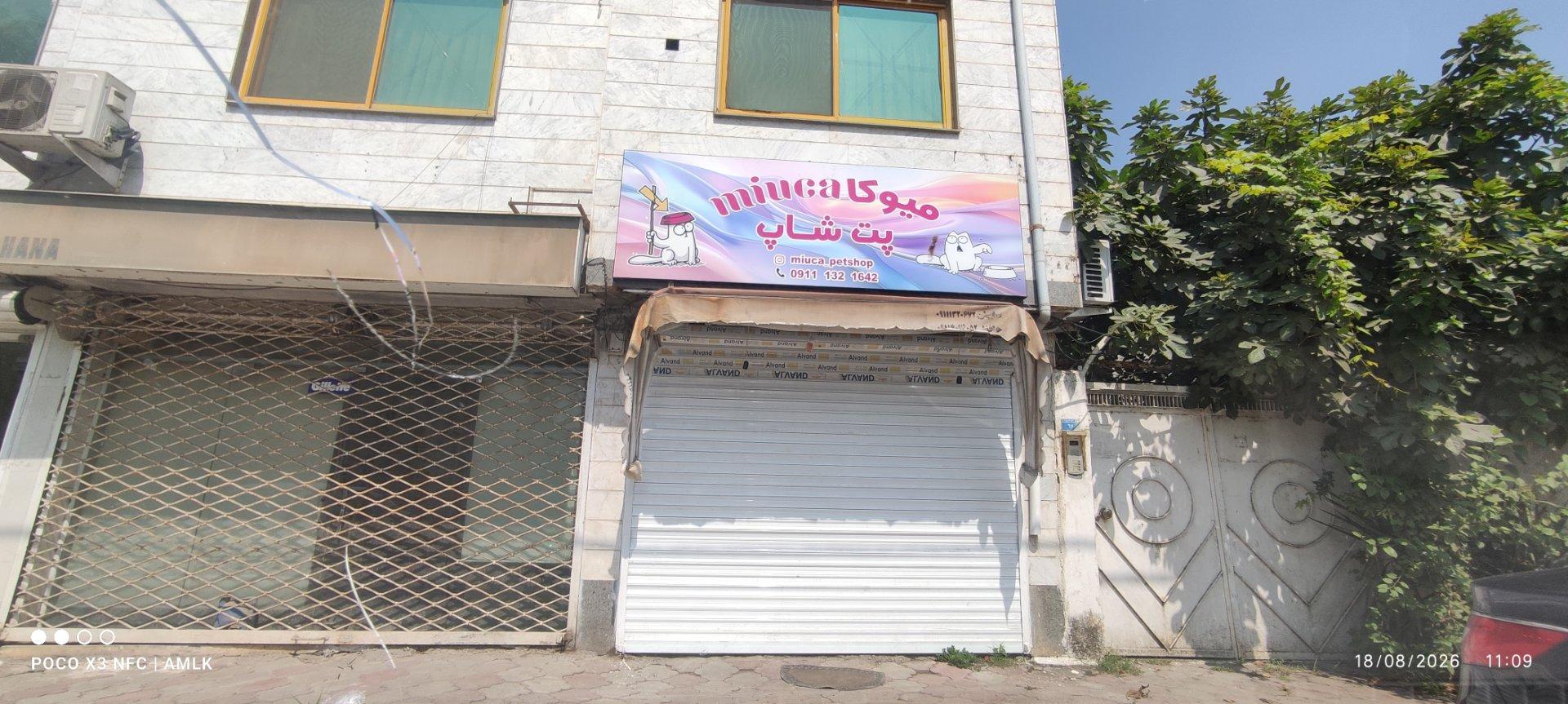 عکس پت شاپ میوکا