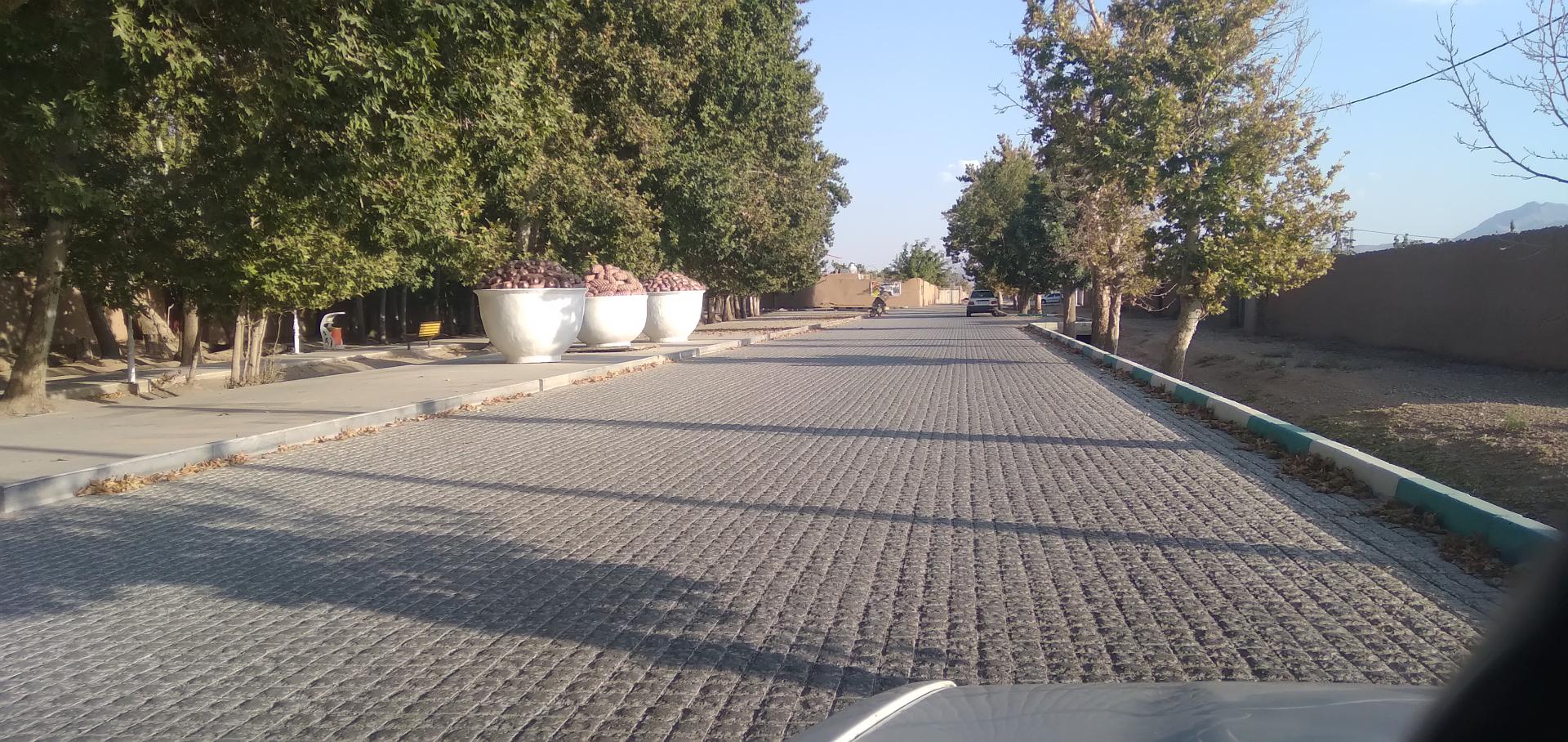 عکس پارک بیشه