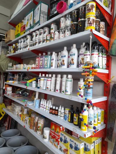 پت شاپ زوتوپیا