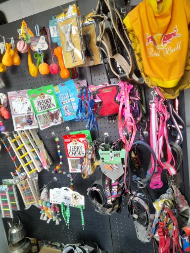 پت شاپ زوتوپیا