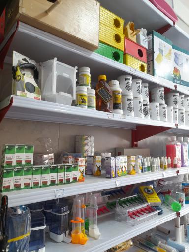 پت شاپ زوتوپیا