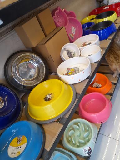 پت شاپ زوتوپیا