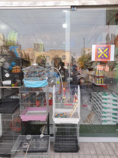 عکس پت شاپ زوتوپیا