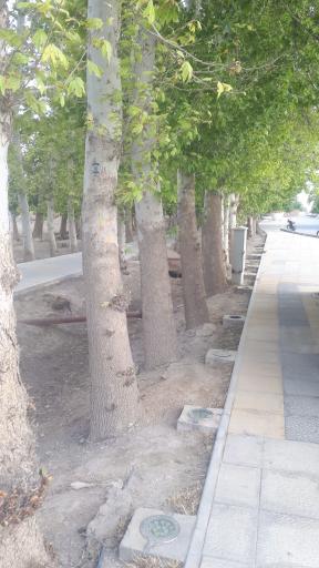 عکس پارک بیشه