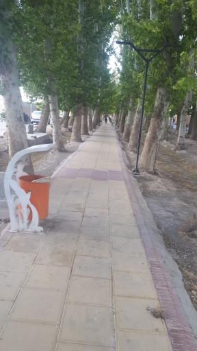 عکس پارک بیشه