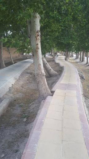 عکس پارک بیشه