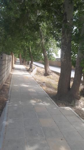 عکس پارک بیشه