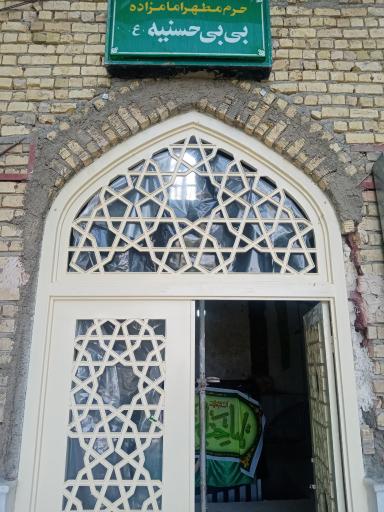 عکس امامزاده بی بی حسنیه (شاداب)