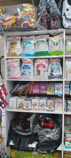 عکس پت شاپ لُپیدو