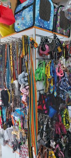 عکس پت شاپ لُپیدو