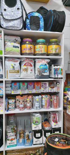 عکس پت شاپ لُپیدو