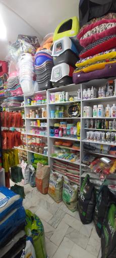 عکس پت شاپ لُپیدو