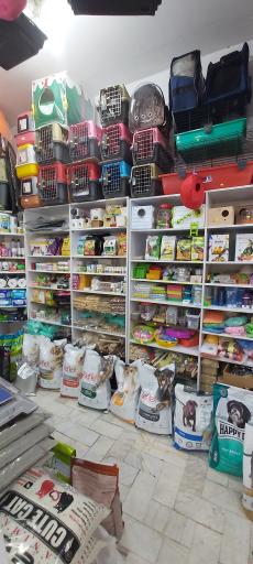 عکس پت شاپ لُپیدو