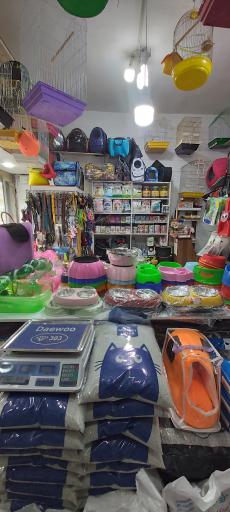 عکس پت شاپ لُپیدو