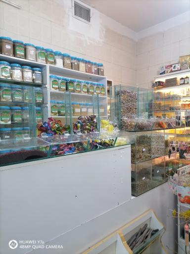 عکس آقای عطار 