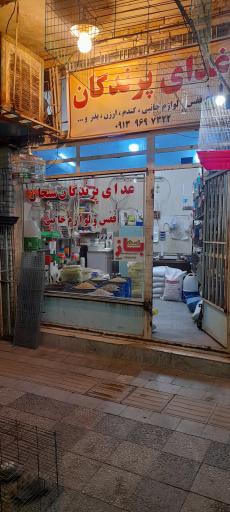 عکس پرنده و غذای پرندگان سبحان