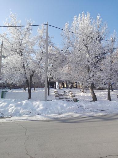 عکس باغ ملی