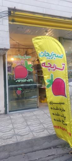 عکس سبزیجات تربچه 
